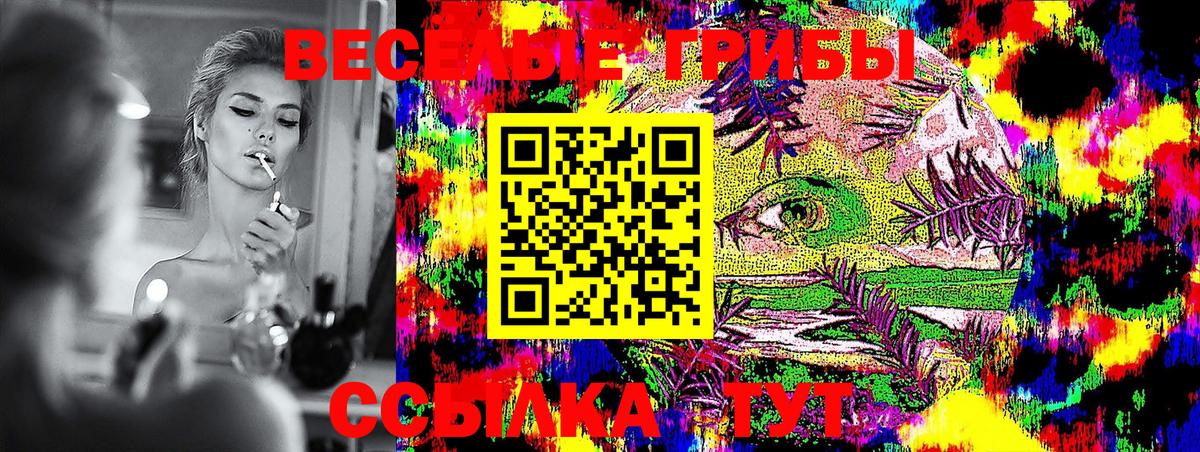 Галлюциногенные грибы Cubensis Касимов