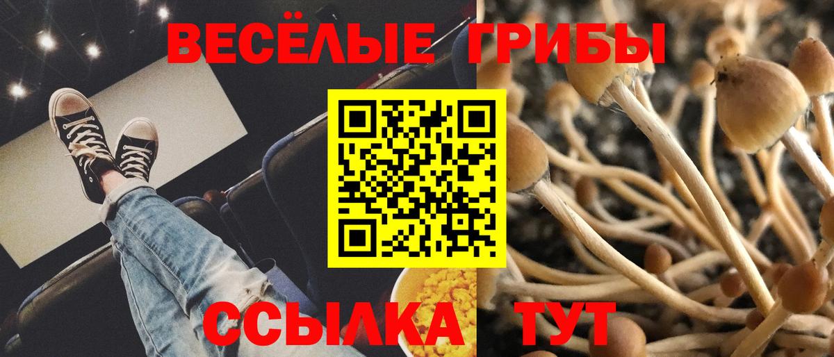 Псилоцибиновые грибы мухоморы  Вход с VPN  Касимов 